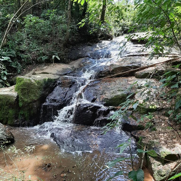 Casa de Campo Aloha room 4